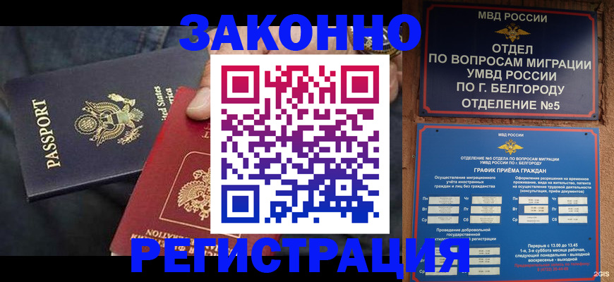 прописка законно в Тереке